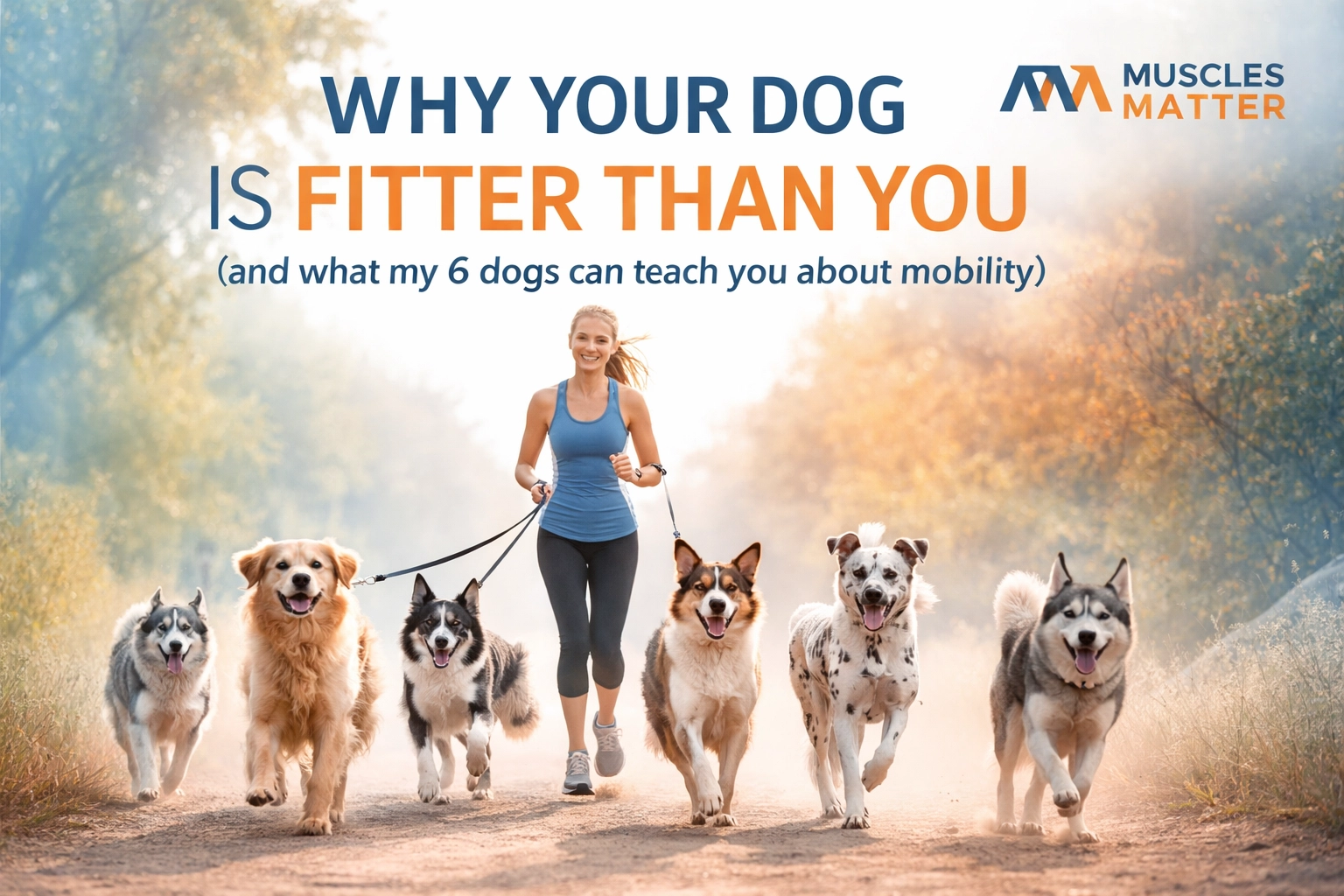 Why Your Dog is Fitter Than You (and what my 6 dogs can teach you about mobility)